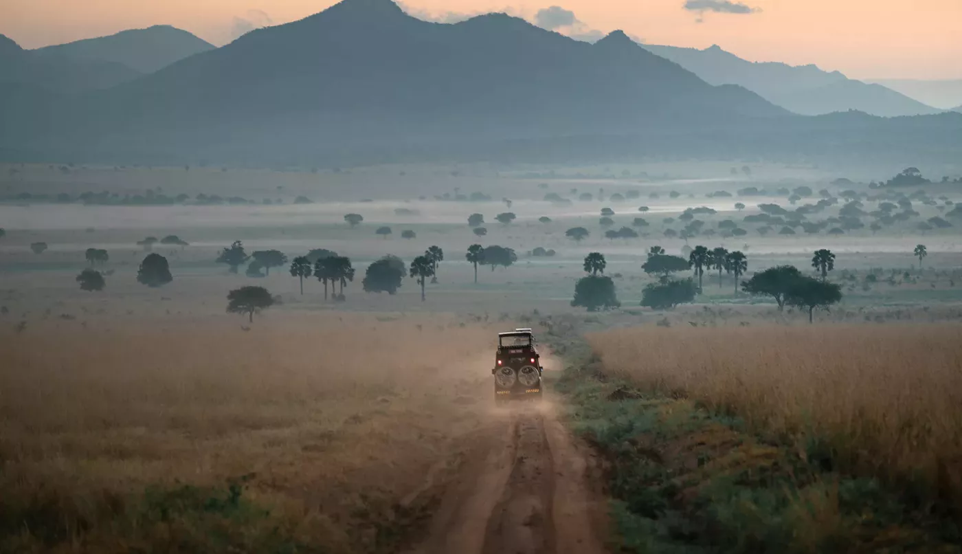 African Safari Adventure